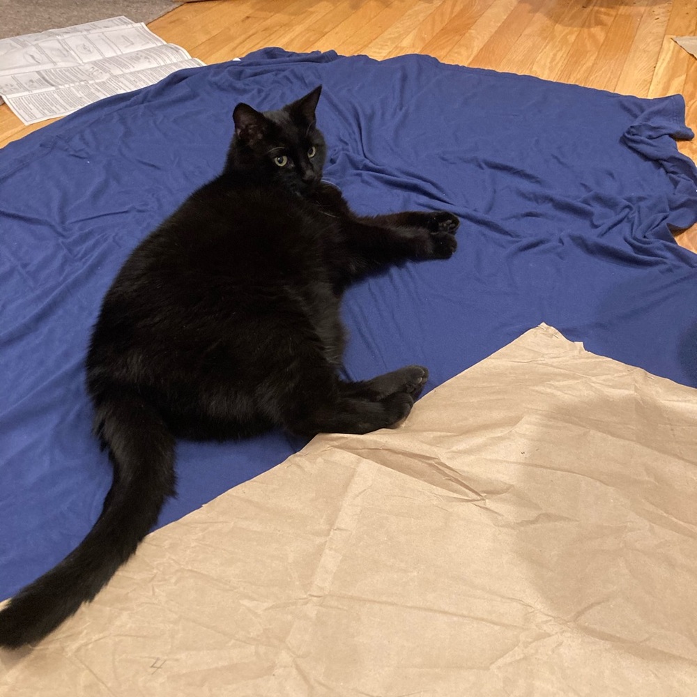 Meet your Posher, Kathleen